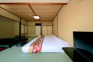Room only -Classic Nikko ryokan with natural hot springs