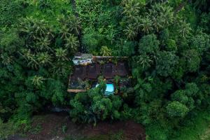Parvati Retreat Villas