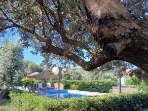 Villa Emily Rethymno
