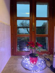 Istria Stone House