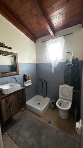 Panorea home