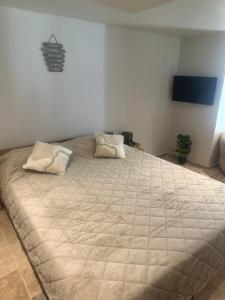 Paradis & Désir Love Room