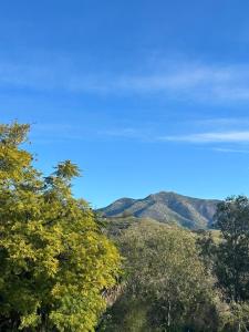 Bellavistas