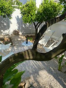 Casa Virgilio