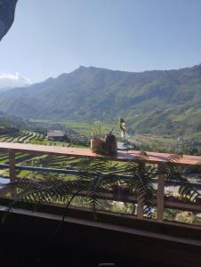 Bamboo Garden Homestay & Coffee