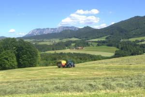 Familie Edtmayer - Rindbergerhof