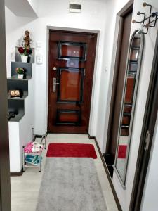 Apartament relaxare Herculane