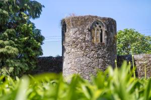 Castelo de Portuzelo