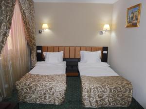 Double or Twin Room room in Hotel Bistrita
