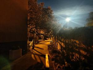 ArtHause
