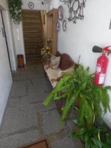 Casa da Avó Maria, Largo de Santo António, n 97395AL