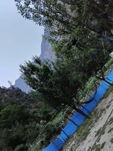Mayaloka cafe & Homestays