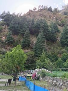 Mayaloka cafe & Homestays