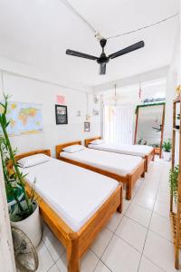 Backpackers Hub