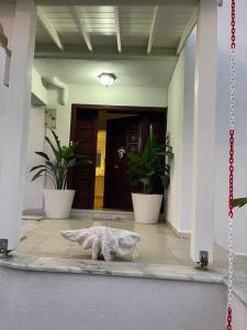 Oran House