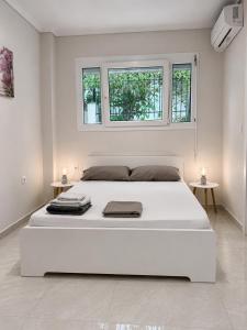 Xsoma Flats "Studio"