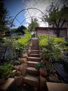 Sunny Garden House