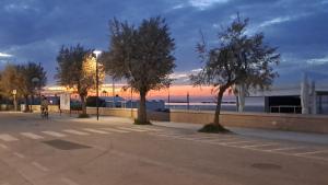 Domus Dafne Apartment