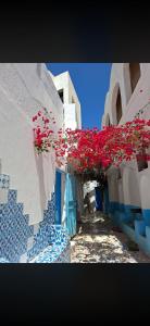 Cocon Djerbien, à deux pas de Djerbahood