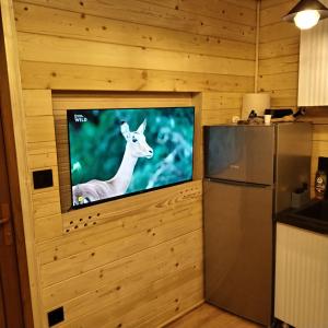 Brvnara Iva Kolašin Crna Gora