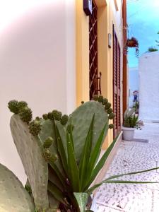 Borgo Antico