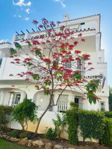 Casa del Mar