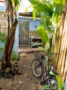 El Tucan Feliz - La Casita Caribeña, Bikes & Snorkeling gear