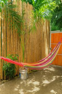 El Tucan Feliz - La Casita Caribeña, Bikes & Snorkeling gear