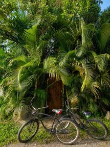El Tucan Feliz - La Casita Caribeña, Bikes & Snorkeling gear