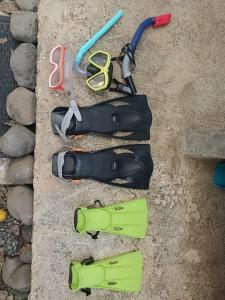 El Tucan Feliz - La Casita Caribeña, Bikes & Snorkeling gear