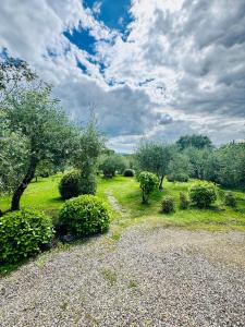 Tuscany Villa Cardella Siena