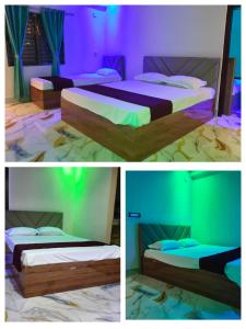 The Nest lodge