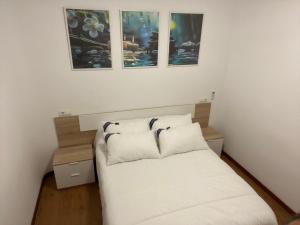 Habitaciones en plaza de tortos en Alicante