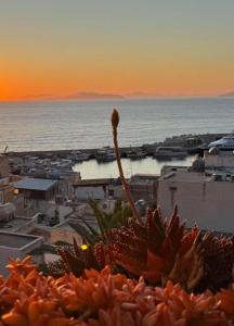 Isola di Marettimo - La Terrazza di Carlotta