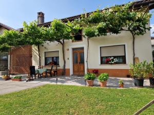 Holiday house Katrca