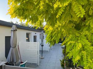 Apartamenty i Domki WyDmy Międzywodzie