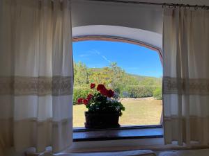 Villa Francesca Apartment