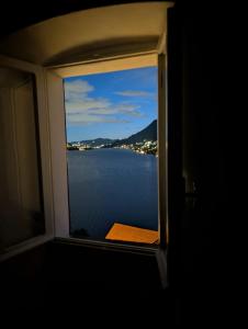 The sunflower of Lake Como
