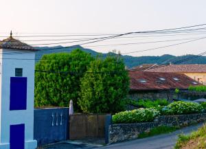 Na morada das parras