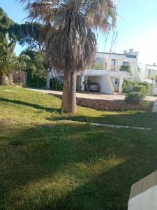 Vilamoura Escape with Pool & Terrace