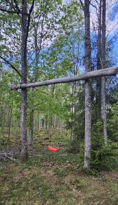 Typisches Schwedisches Haus