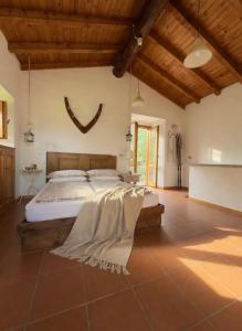 Casa Antonietta