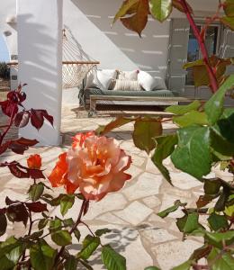 Alia, Seaside Residence