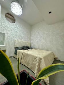 2 Bedrooms San Pedro