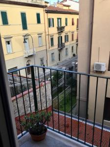 Large renovated apartment in the center of Pisa