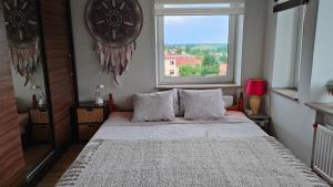 Studio with terrace on the hillside of Viljandi