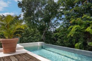 Mayan Culture Villa with Rooftop Pool