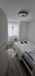 Apartament Kolorów