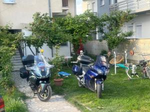 Apartment with big yard and garden