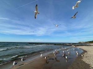 RESET La Playa